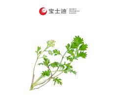 3787B艾葉艾草香精
