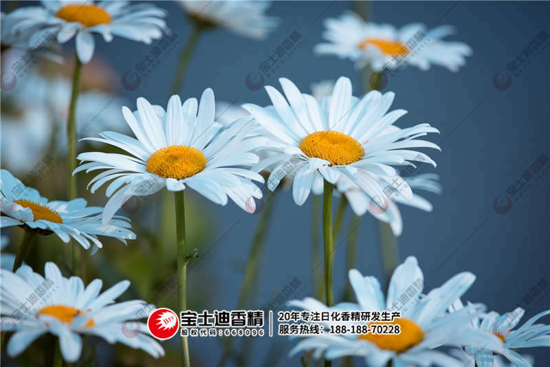 香精