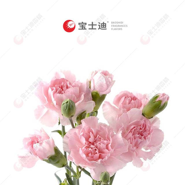 康乃馨（xīn）香精