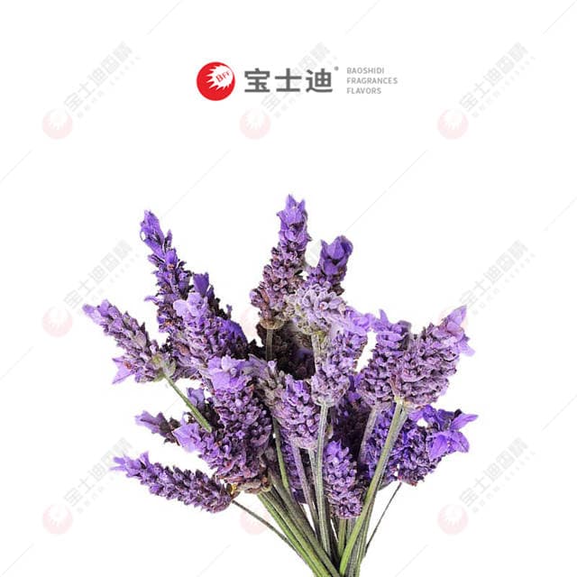 法國薰衣草香精（jīng）