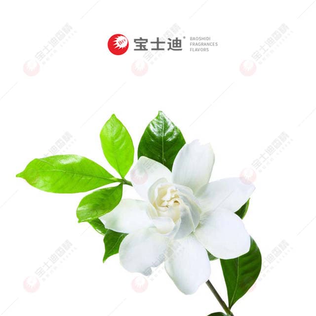 大（dà）花茉莉香精